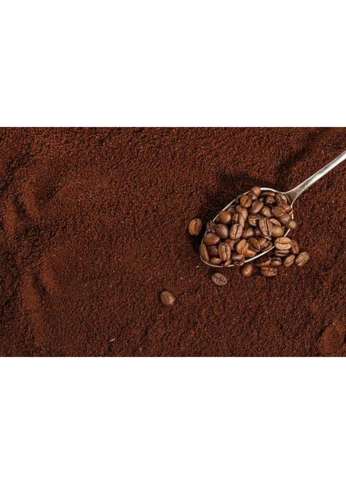 Savor The Flavor Top 5 Best Ground Coffee Picks Reviewed savor-the-flavor-top-5-best-ground-coffee-picks-reviewed