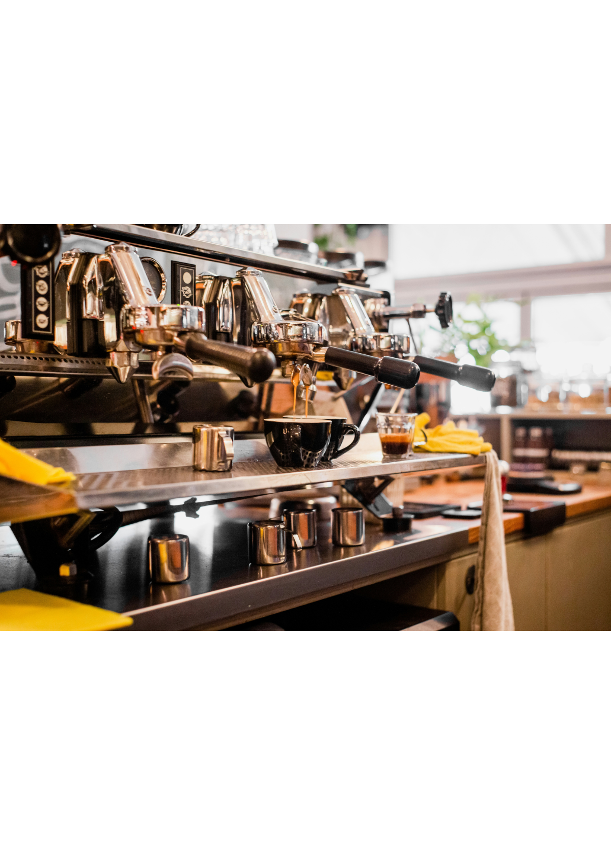 Expert Picks The 5 Best All in One Coffee Machine Options.